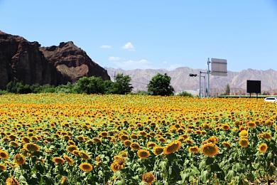 《王国保卫战》迎来十周年 铁皮工作室发布纪念宣传片